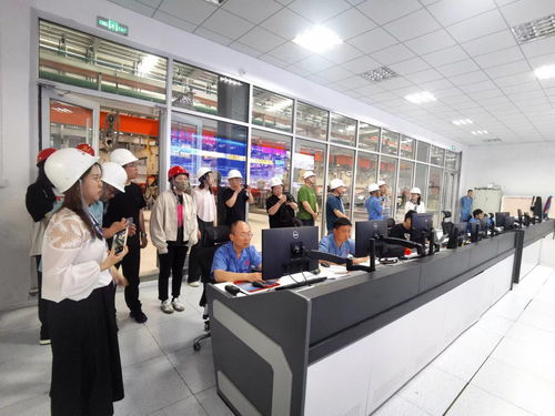 技術驅動、智造升級 德城區百億級綠色建材產業新紀元的崛起與賦能